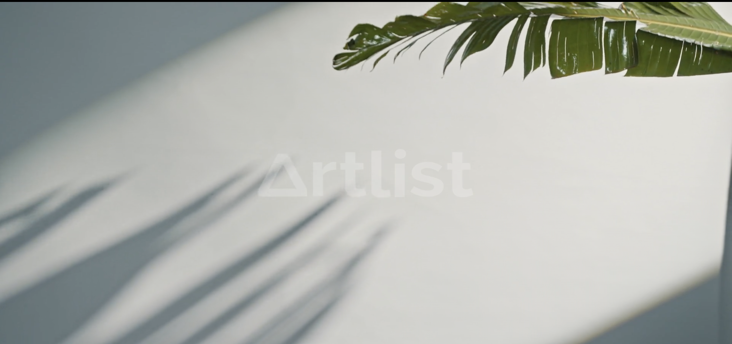 Fallback leaves background